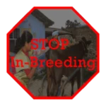 inaph in-breeding check android application logo